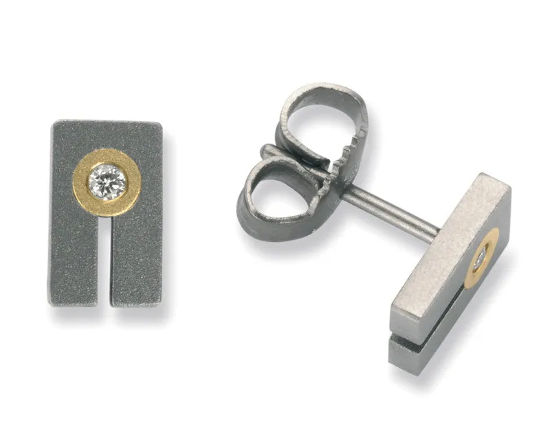 24041-01 TeNo Titanium Earrings