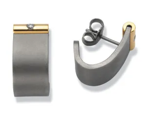 24065-01 TeNo Titanium Earrings