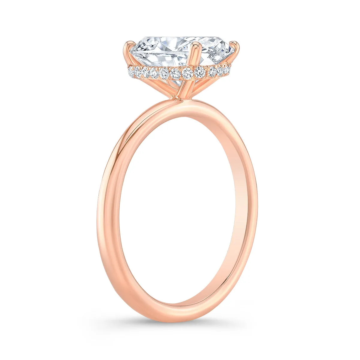 Hidden Halo Engagement Ring Mounting