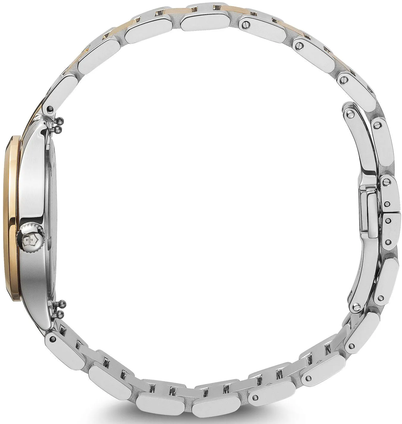 Victorinox Watch Alliance Small D